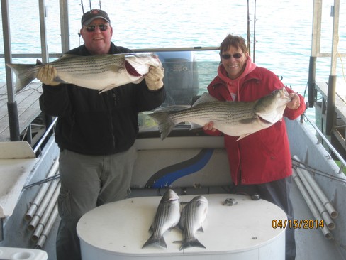 Nice Striped Bass